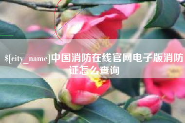 四平中国消防在线官网电子版消防证怎么查询