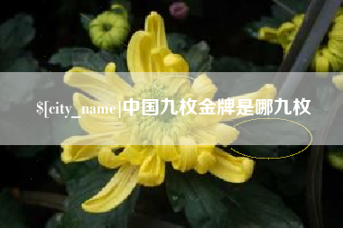 四平中国九枚金牌是哪九枚