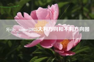 四平2025大利方向和不利方向图