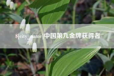 四平中国第九金牌获得者