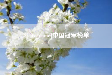 四平中国冠军榜单