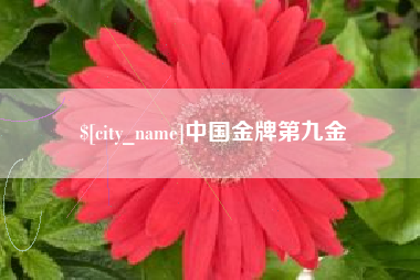 四平中国金牌第九金