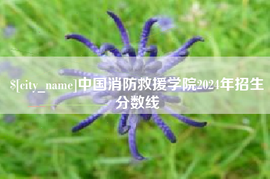 四平中国消防救援学院2024年招生分数线
