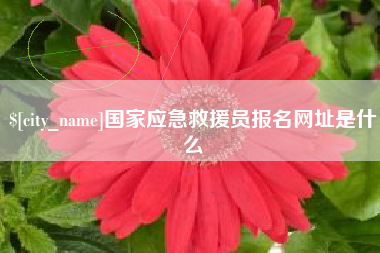 四平国家应急救援员报名网址是什么