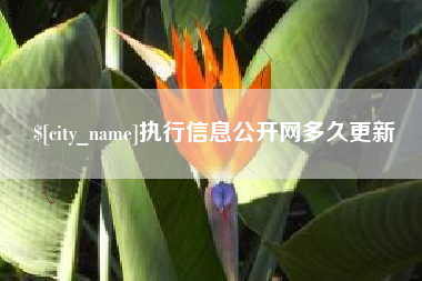 四平执行信息公开网多久更新