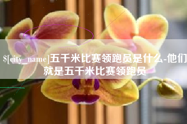 四平五千米比赛领跑员是什么-他们就是五千米比赛领跑员