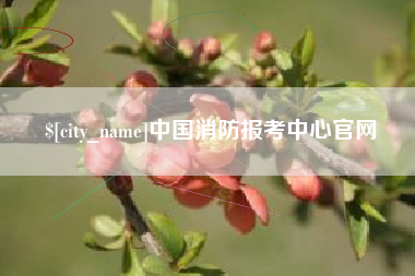 四平中国消防报考中心官网