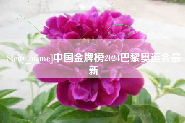 四平中国金牌榜2024巴黎奥运会最新