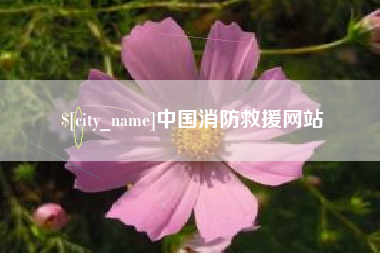 四平中国消防救援网站