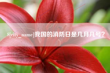 四平我国的消防日是几月几号？
