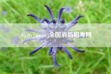 四平全国消防招考网