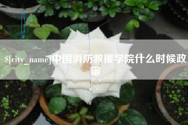 四平中国消防救援学院什么时候政审