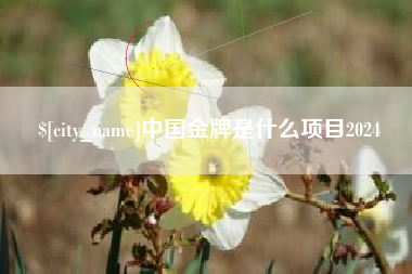 四平中国金牌是什么项目2024