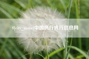 四平中国执行执行信息网