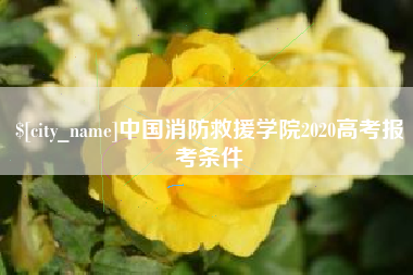 四平中国消防救援学院2020高考报考条件