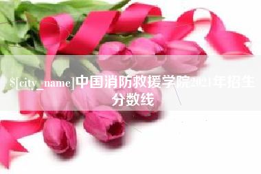 四平中国消防救援学院2021年招生分数线