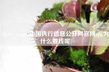 四平中国执行信息公开网官网app为什么要钱呢