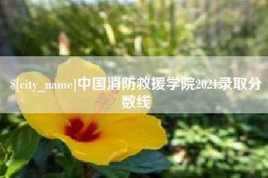 四平中国消防救援学院2021录取分数线