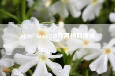 四平579九宫格如何排