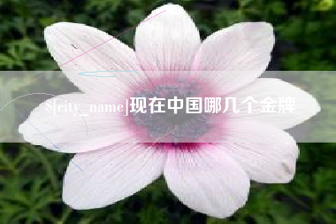 四平现在中国哪几个金牌