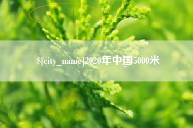 四平2020年中国5000米