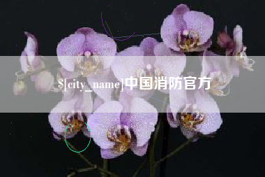 四平中国消防官方