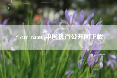 四平中国执行公开网下载