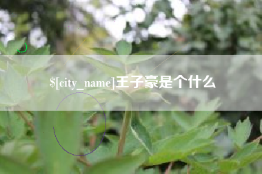 四平王子豪是个什么