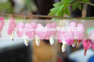四平中国5000米国家记录
