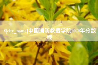 四平中国消防救援学院2020年分数线