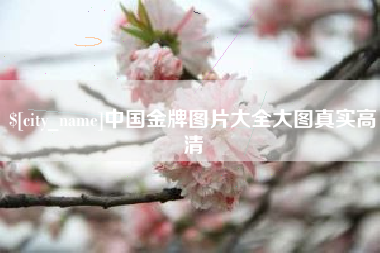 四平中国金牌图片大全大图真实高清