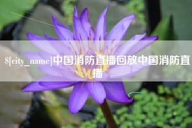 四平中国消防直播回放中国消防直播