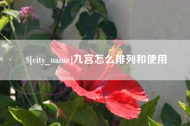 四平九宫怎么排列和使用