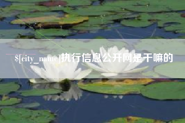 四平执行信息公开网是干嘛的