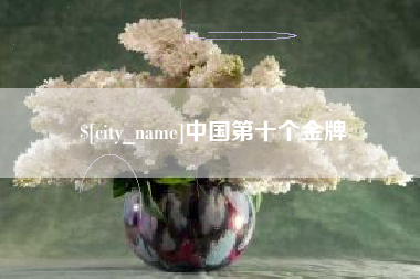 四平中国第十个金牌