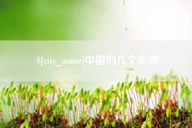 四平中国的几个金牌