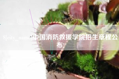 四平中国消防救援学院招生章程公布!