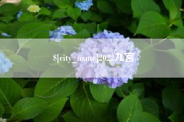 四平2022九宫