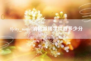 四平消防救援学院要多少分