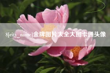 四平金牌图片大全大图卡通头像