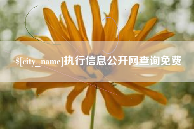 四平执行信息公开网查询免费