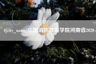 四平中国消防救援学院河南省2020